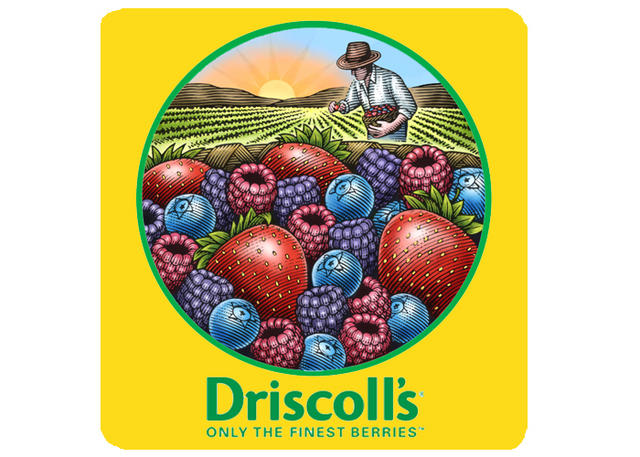 Driscoll_s logo
